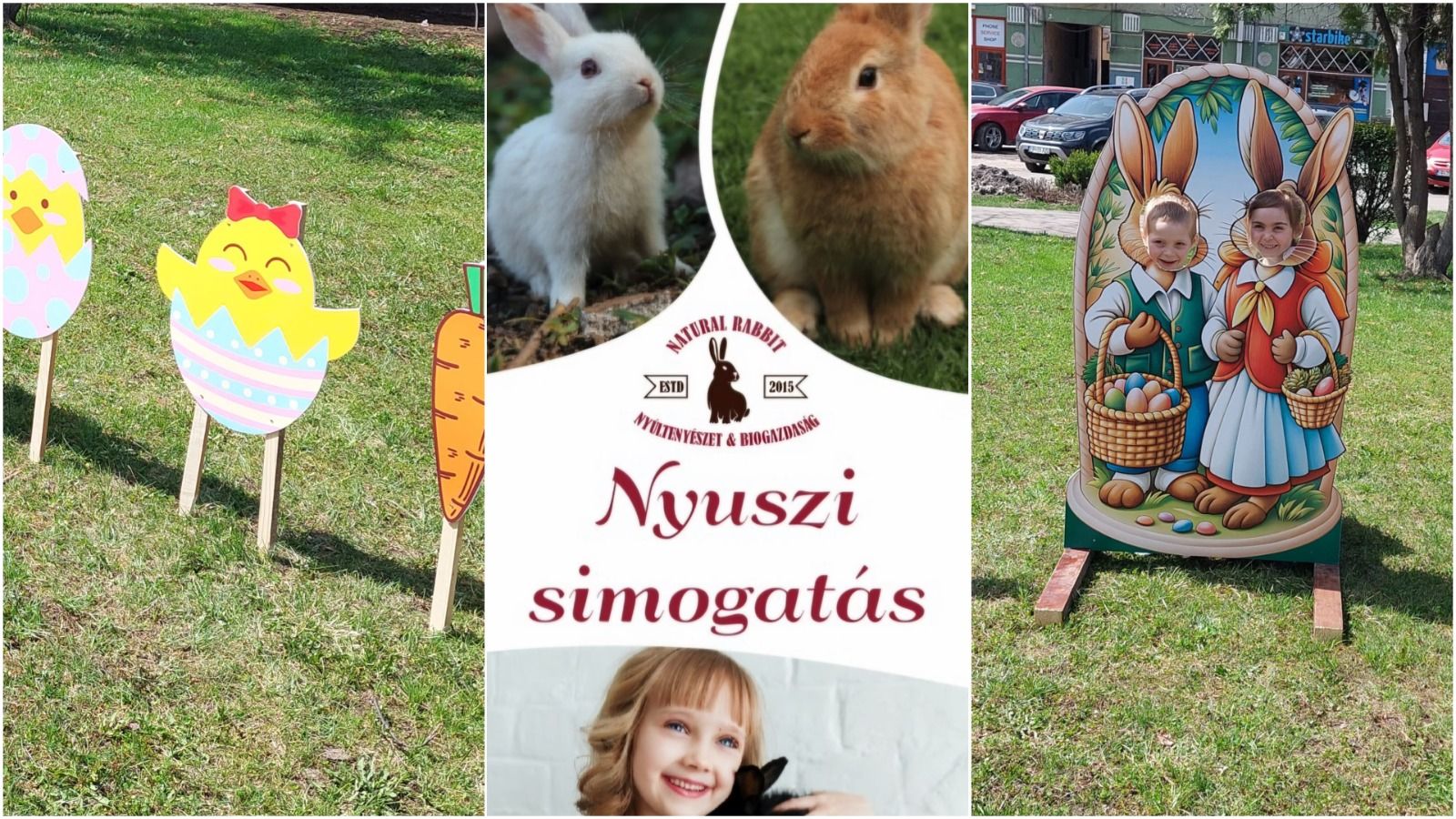 No alternative text provided